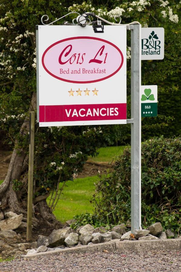 Cois Li B&B トラリー エクステリア 写真